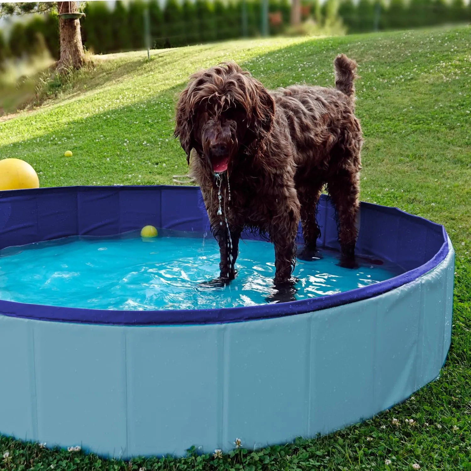 FurDreams Foldable Pet Swimming Pool – Hard Plastic Dog Bathtub, Portable Multi-Functional PVC Kiddie Pool with Non-Slip Base – Perfect for Children, Cats, Puppies, and Summer Fun