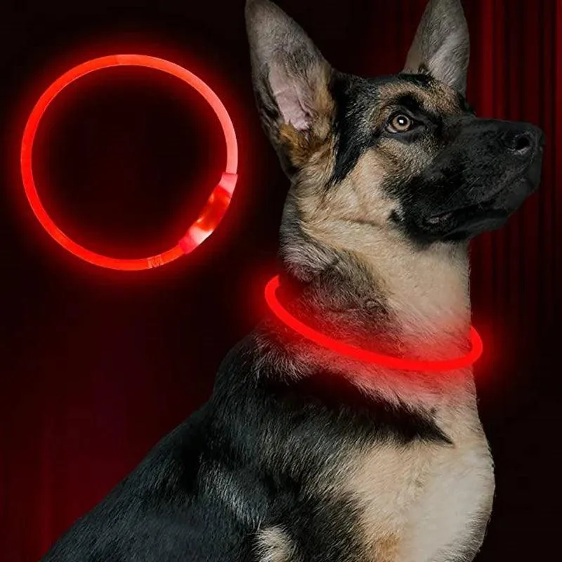 Illuminate Night Walks with LED Dog Collar: Stay Safe in Style