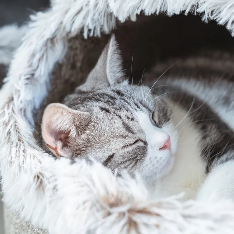 Large Enclosed Soft Fleece Cat Bed