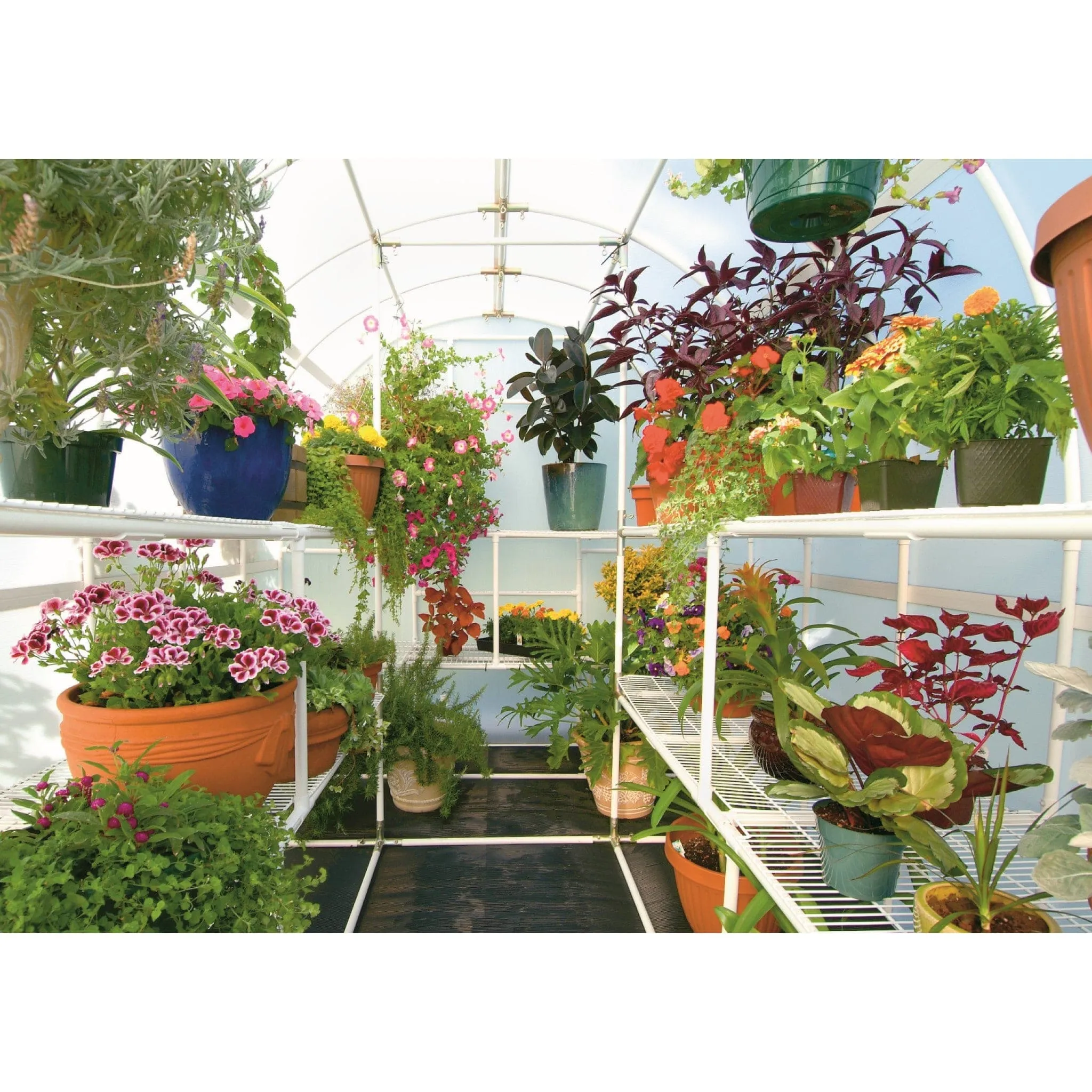 Solexx | Gardener's Oasis Greenhouse Kit With High Performance Greenhouse Plastic